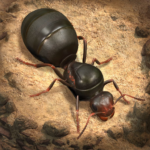 The Ants Underground Kingdom MOD APKs 3.61.0 Unlimited Money