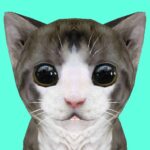 Cat Simulator Online MOD APKs 37 (Unlimited Coins)