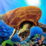 Archelon Simulator MOD APKs 1.1.7 (Unlimited Money)